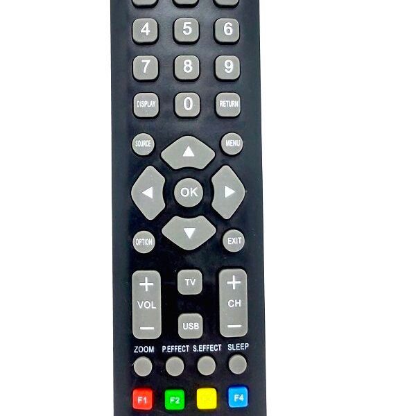 TV Remote SINGER